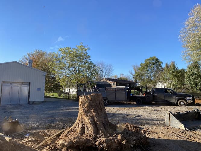 Grass Dirt & HandyWork business photo