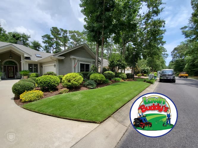 Buddy's Services business photo