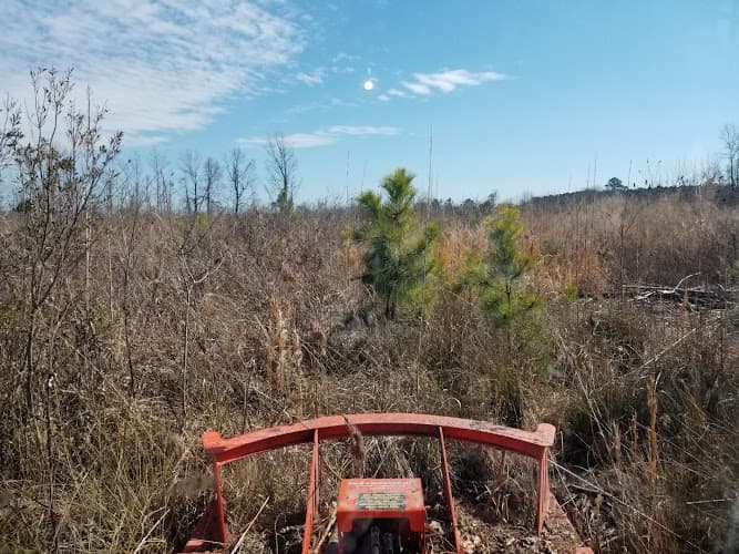 Carolina Services , Inc. business photo