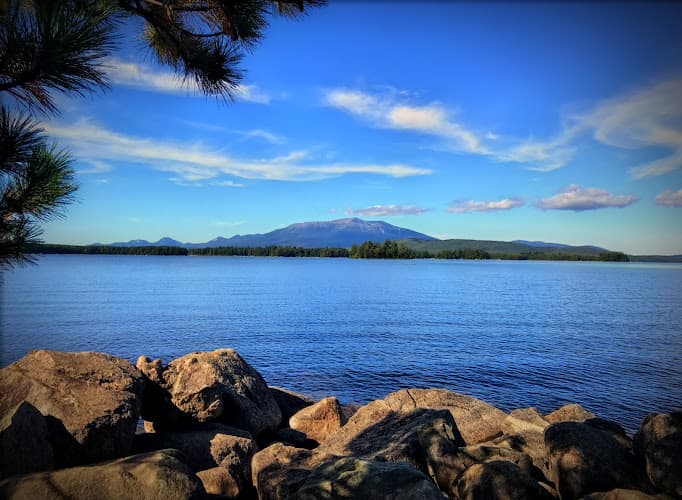 Moyse Environmental Services business photo