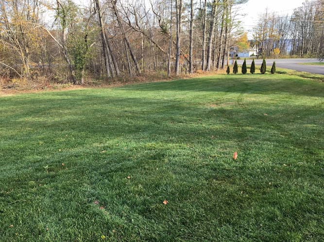 Green Thumb Lawn Services business photo