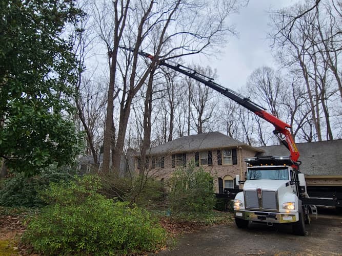 CS Tree Services Inc business photo