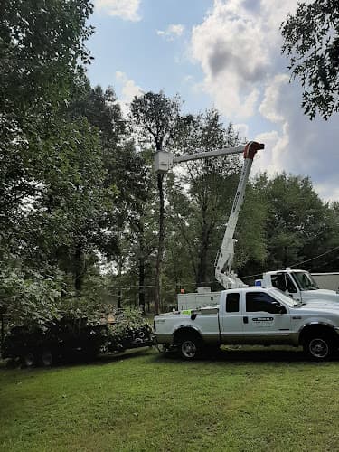 Travis Tree Service business photo