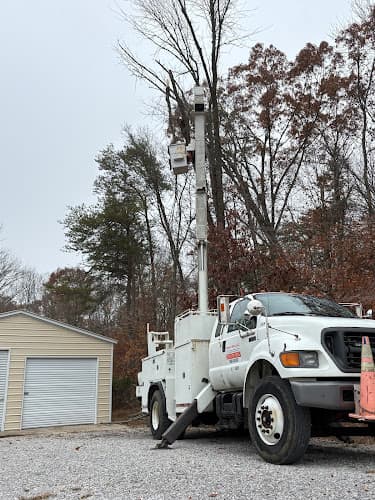 Saye and Sons LLC business photo