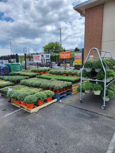 Ace Hdw of Independence business photo