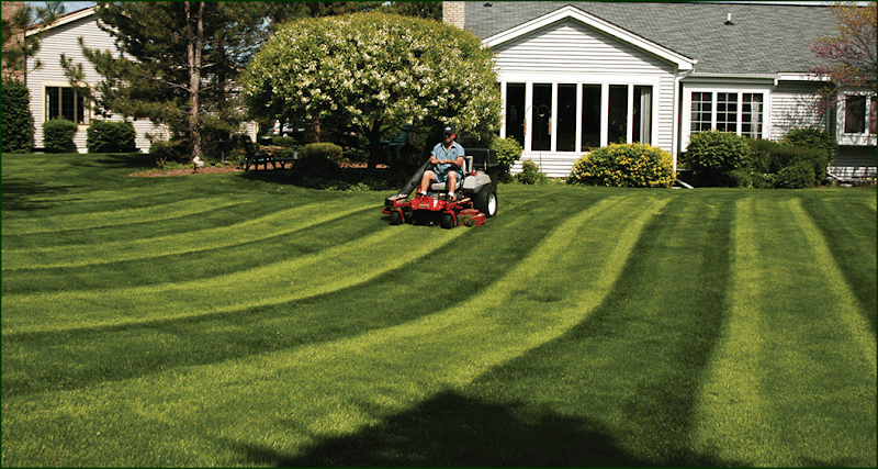 Piedmont Landscaping business photo