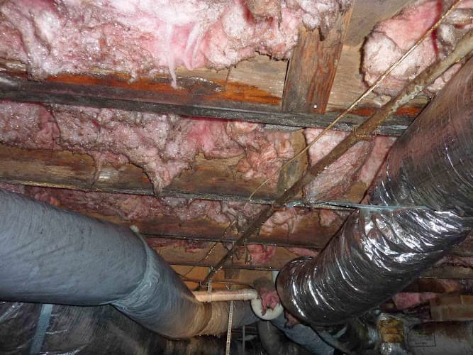 Clear Choice Home Inspections business photo