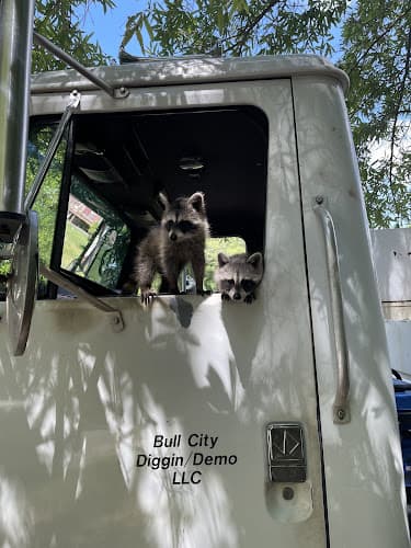 Bull City Diggin / Demo LLC business photo